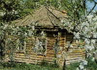 Постер: (774Kb)