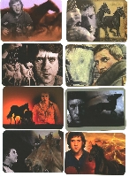 Постер: (566Kb)